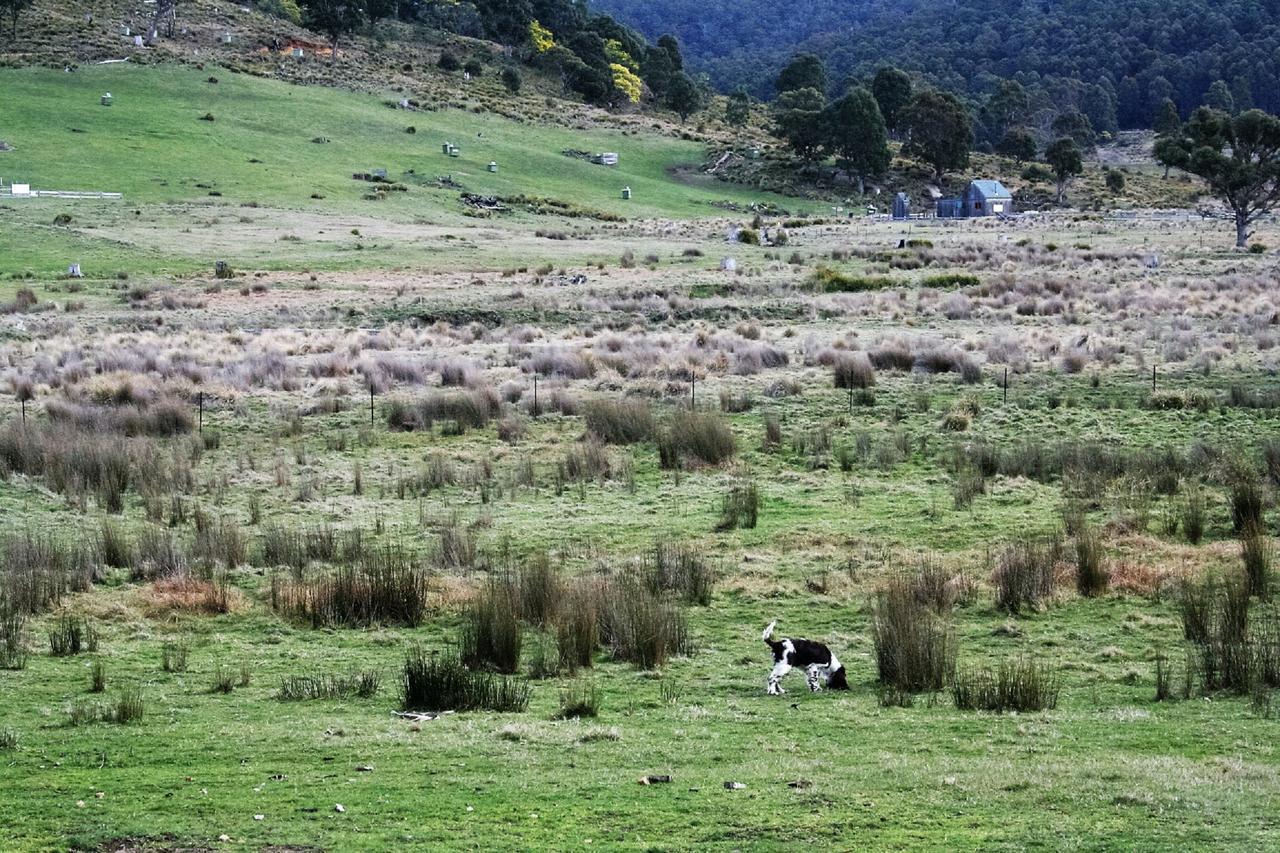 Lake Leake Currawong Lakes Tasmania المظهر الخارجي الصورة